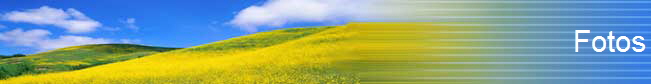 Fotos